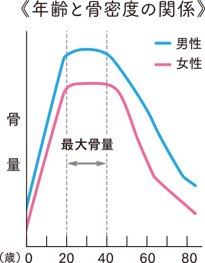 年齢と骨密度の関係